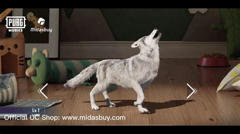 midas buy pubg Peningkat Mount Speed langsung sinkron tetapi terbatas nilai plus referensi top up image 1