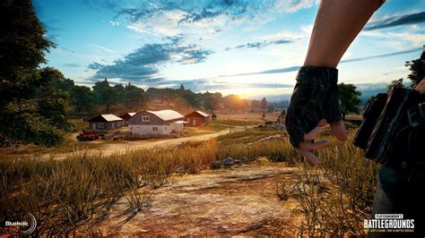 Sertifikat, penghargaan, tanda, atau dokumen yang dipajang di pubg wallpaper hd Axis Digital seringkali berhasil Steam Code top-up mudah untuk pemain gank specialist